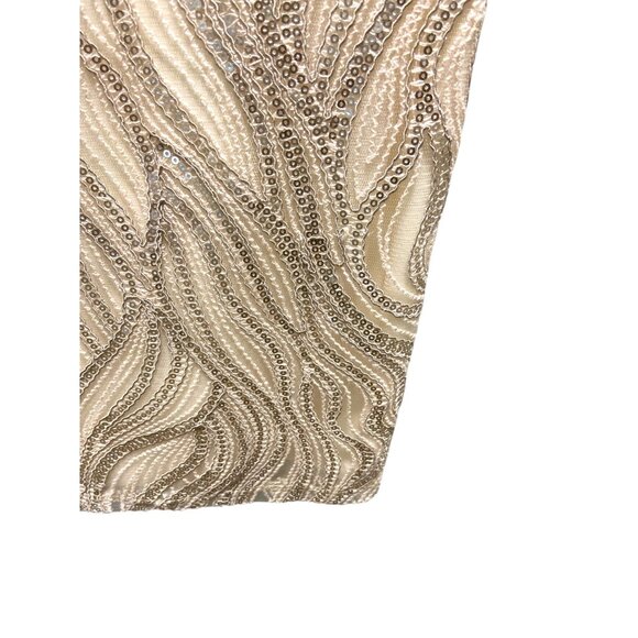 Tadashi Shoji Vibiana Embroidered Sequins Dress Champagne Size 4P - Picture 10 of 14